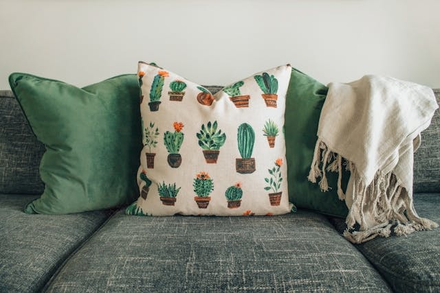 throw-pillow-sofa